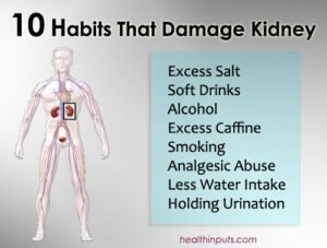 Kidney Care Tips