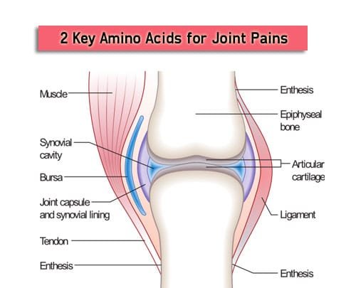 amino-acids-join-pain