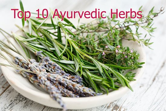 top 10 ayurvedic herbs