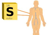 sulfur-body